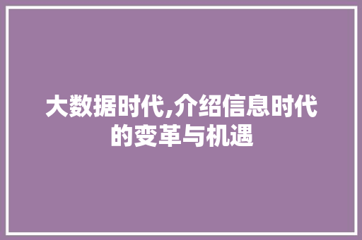 大数据时代,介绍信息时代的变革与机遇