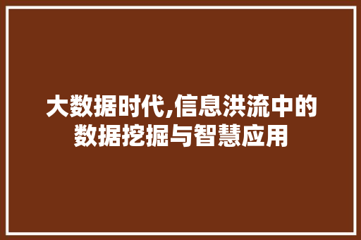 大数据时代,信息洪流中的数据挖掘与智慧应用