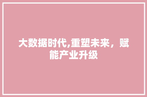 大数据时代,重塑未来，赋能产业升级