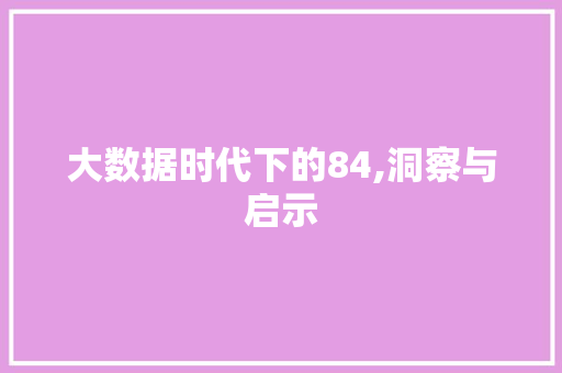 大数据时代下的84,洞察与启示