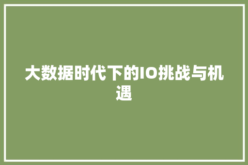 大数据时代下的IO挑战与机遇