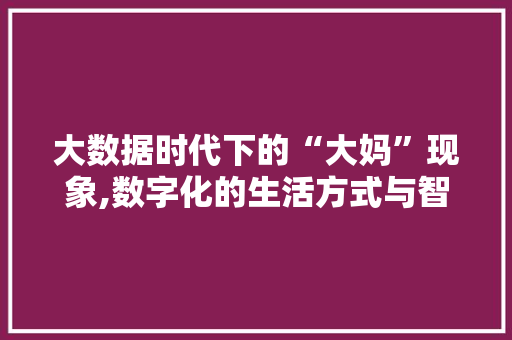 大数据时代下的“大妈”现象,数字化的生活方式与智慧养老