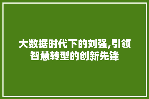 大数据时代下的刘强,引领智慧转型的创新先锋