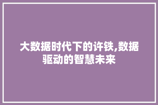 大数据时代下的许铁,数据驱动的智慧未来