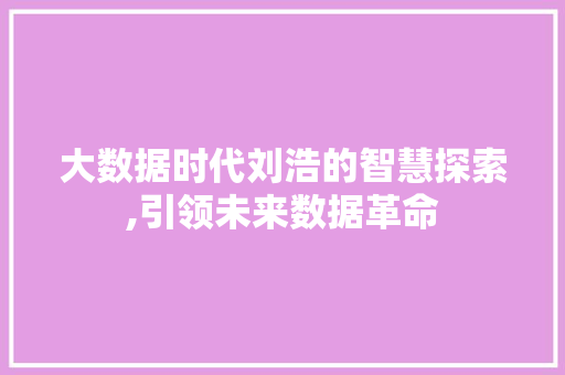 大数据时代刘浩的智慧探索,引领未来数据革命