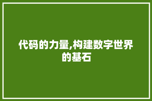 代码的力量,构建数字世界的基石