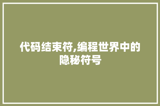 代码结束符,编程世界中的隐秘符号