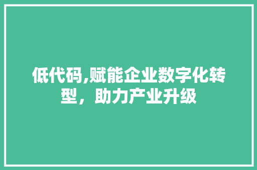 低代码,赋能企业数字化转型，助力产业升级