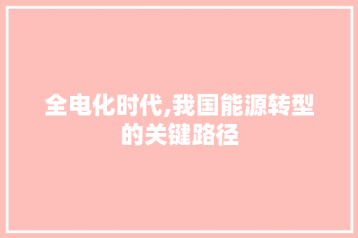全电化时代,我国能源转型的关键路径
