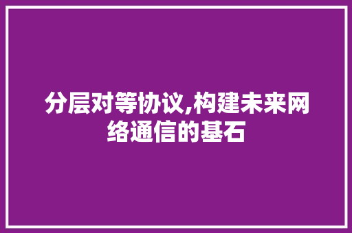 分层对等协议,构建未来网络通信的基石