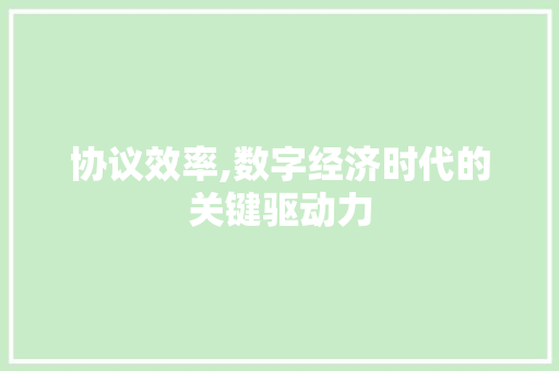 协议效率,数字经济时代的关键驱动力