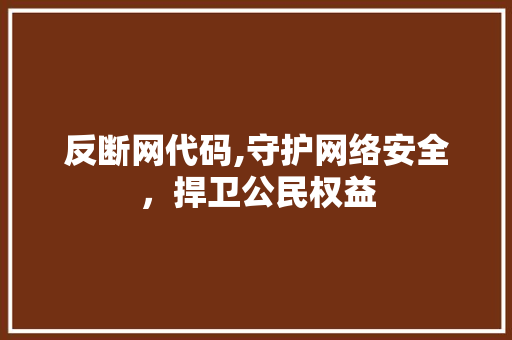 反断网代码,守护网络安全，捍卫公民权益