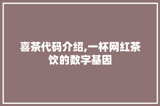 喜茶代码介绍,一杯网红茶饮的数字基因
