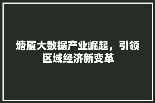 塘厦大数据产业崛起，引领区域经济新变革