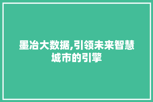 墨冶大数据,引领未来智慧城市的引擎
