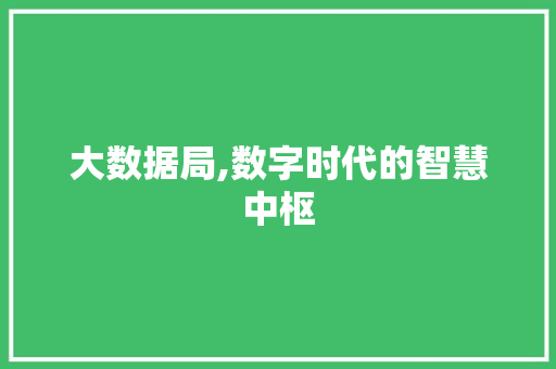 大数据局,数字时代的智慧中枢