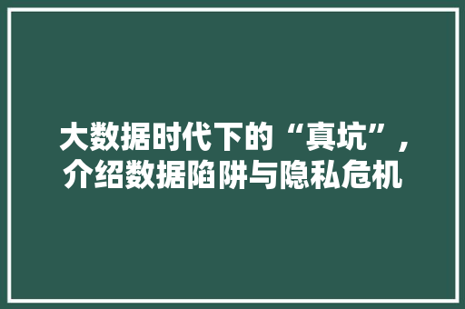 大数据时代下的“真坑”,介绍数据陷阱与隐私危机