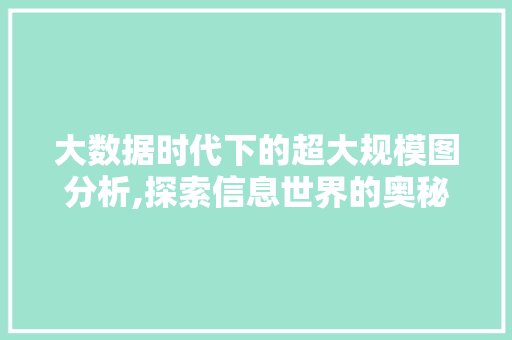 大数据时代下的超大规模图分析,探索信息世界的奥秘