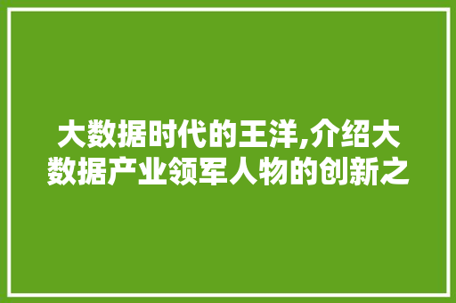 大数据时代的王洋,介绍大数据产业领军人物的创新之路