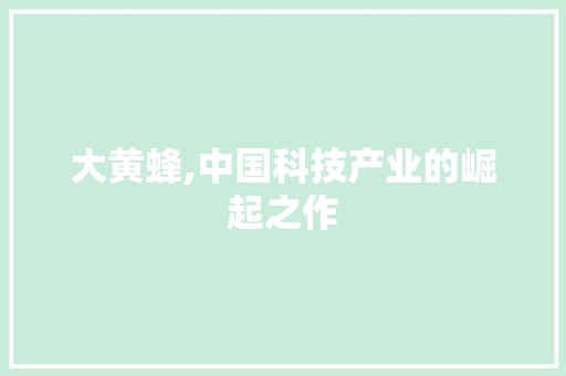 大黄蜂,中国科技产业的崛起之作