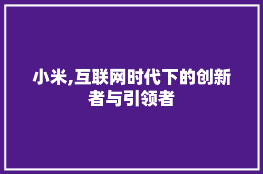 小米,互联网时代下的创新者与引领者