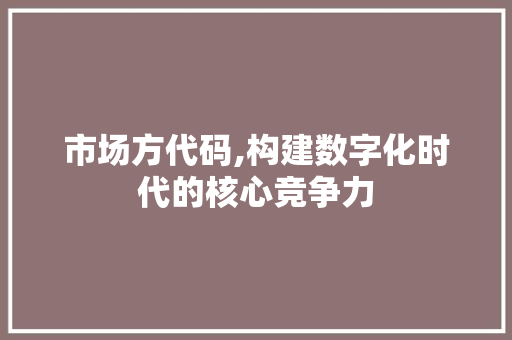 市场方代码,构建数字化时代的核心竞争力