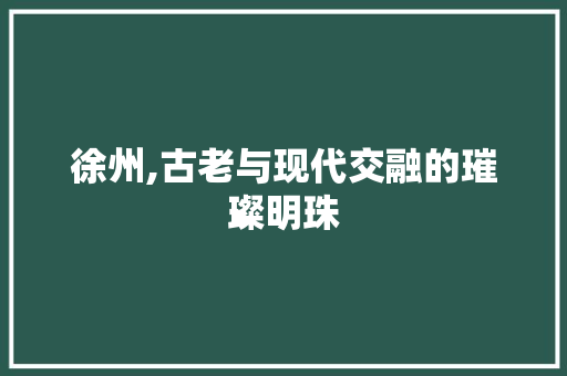 徐州,古老与现代交融的璀璨明珠