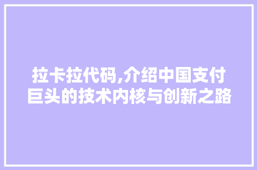 拉卡拉代码,介绍中国支付巨头的技术内核与创新之路