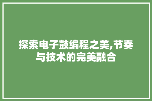探索电子鼓编程之美,节奏与技术的完美融合