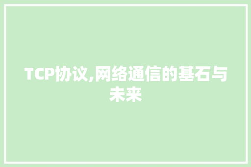 TCP协议,网络通信的基石与未来