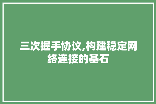 三次握手协议,构建稳定网络连接的基石