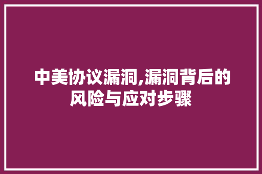 中美协议漏洞,漏洞背后的风险与应对步骤
