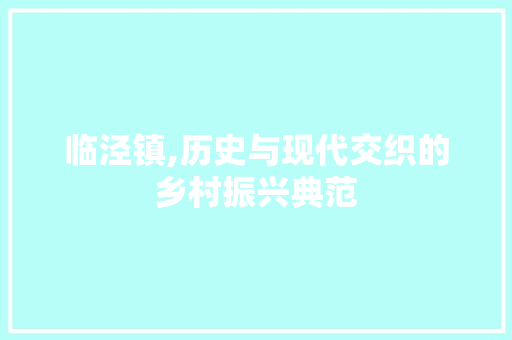 临泾镇,历史与现代交织的乡村振兴典范