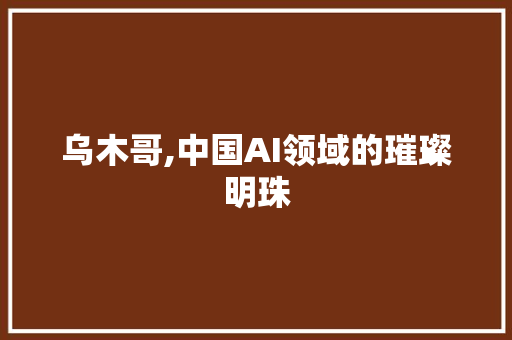 乌木哥,中国AI领域的璀璨明珠