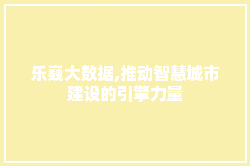 乐巍大数据,推动智慧城市建设的引擎力量