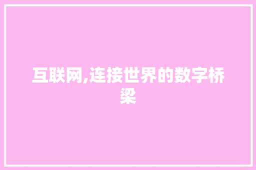 互联网,连接世界的数字桥梁
