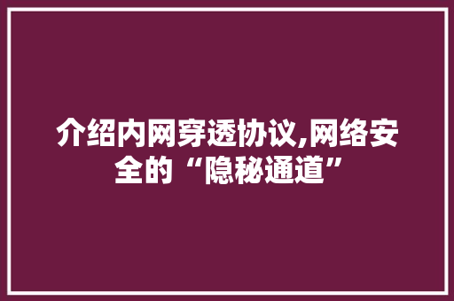 介绍内网穿透协议,网络安全的“隐秘通道”