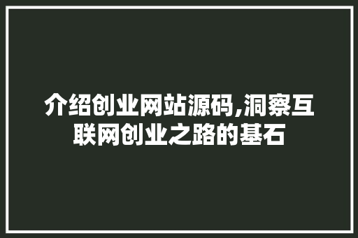 介绍创业网站源码,洞察互联网创业之路的基石