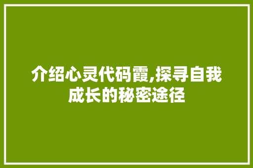 介绍心灵代码霞,探寻自我成长的秘密途径