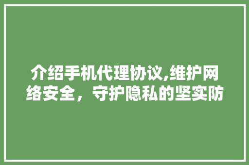 介绍手机代理协议,维护网络安全，守护隐私的坚实防线