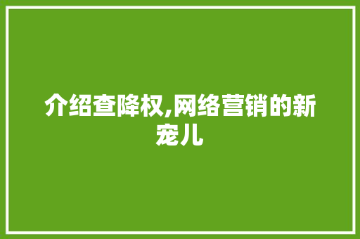 介绍查降权,网络营销的新宠儿