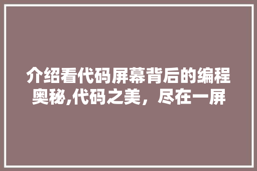介绍看代码屏幕背后的编程奥秘,代码之美，尽在一屏之间
