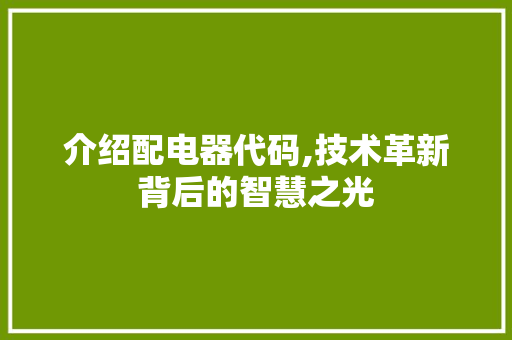 介绍配电器代码,技术革新背后的智慧之光