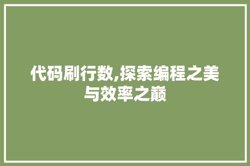 代码刷行数,探索编程之美与效率之巅