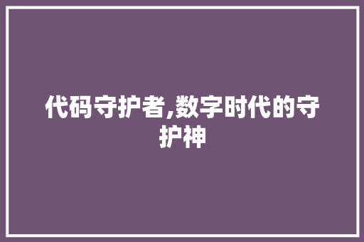 代码守护者,数字时代的守护神