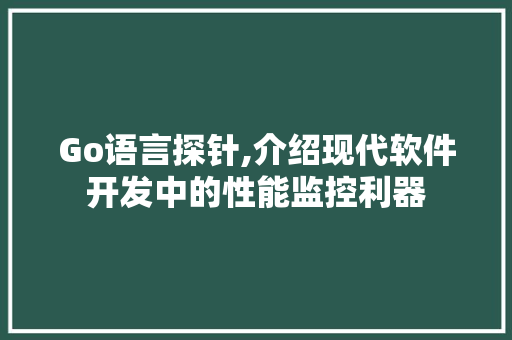 Go语言探针,介绍现代软件开发中的性能监控利器