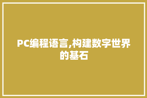 PC编程语言,构建数字世界的基石