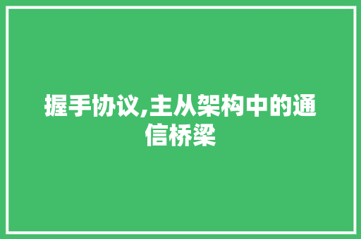 握手协议,主从架构中的通信桥梁