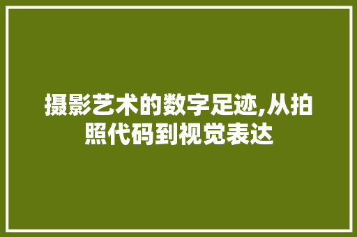 摄影艺术的数字足迹,从拍照代码到视觉表达