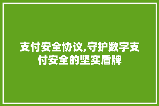 支付安全协议,守护数字支付安全的坚实盾牌